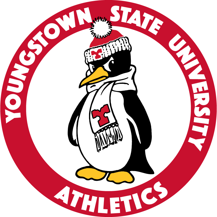 Youngstown State Penguins 1979-2007 Alternate Logo diy iron on heat transfer
